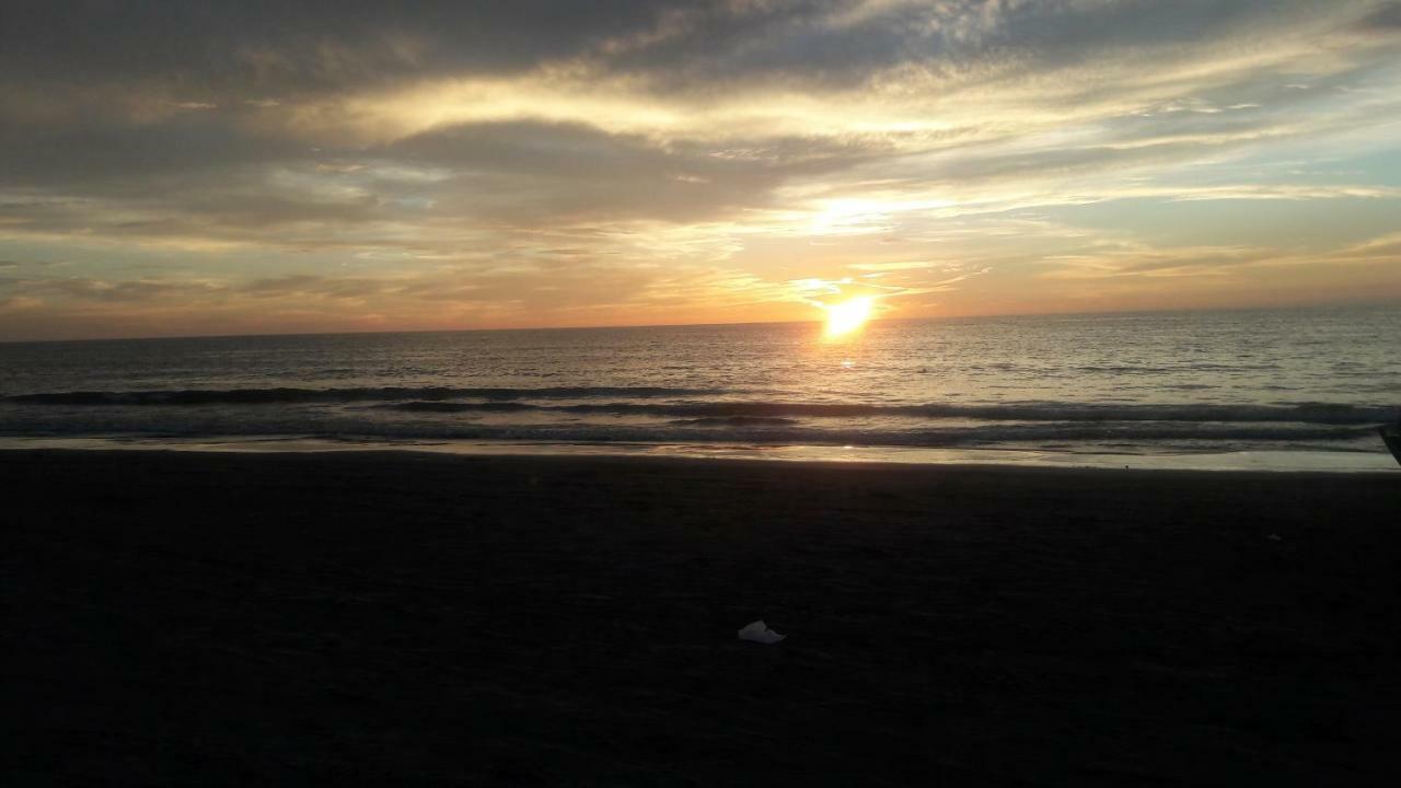 Apartamento, En Primera Linea De Playa Apartamento